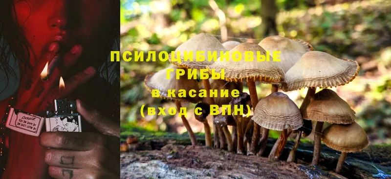 это официальный сайт  Выборг  Галлюциногенные грибы ЛСД 