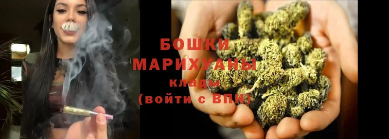 Бошки марихуана Bruce Banner  Выборг 